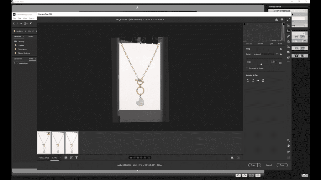 A gold chain necklace with a pearl pendant hanging in front of a white background, seen in the tethered capture software with a row of captured frames below, during the Photographing Necklaces lesson.