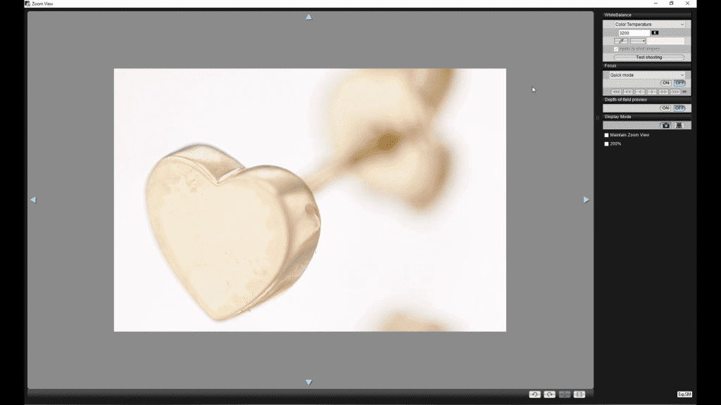 A gold heart-shaped stud earring at macro magnification in the tethered capture software during the Photographing Earrings lesson, with the second earring soft in the background.