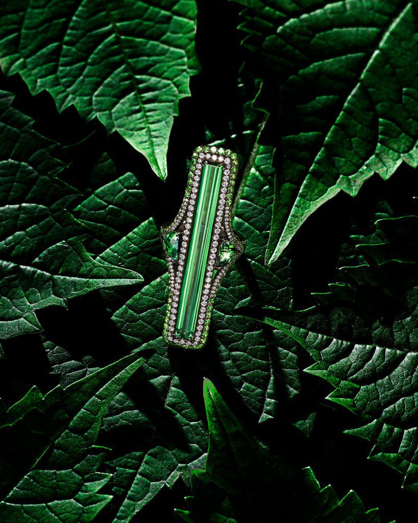 Gold bar ring among green leaves